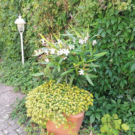Pension Haus Anneliese Uckeritz Εξωτερικό φωτογραφία