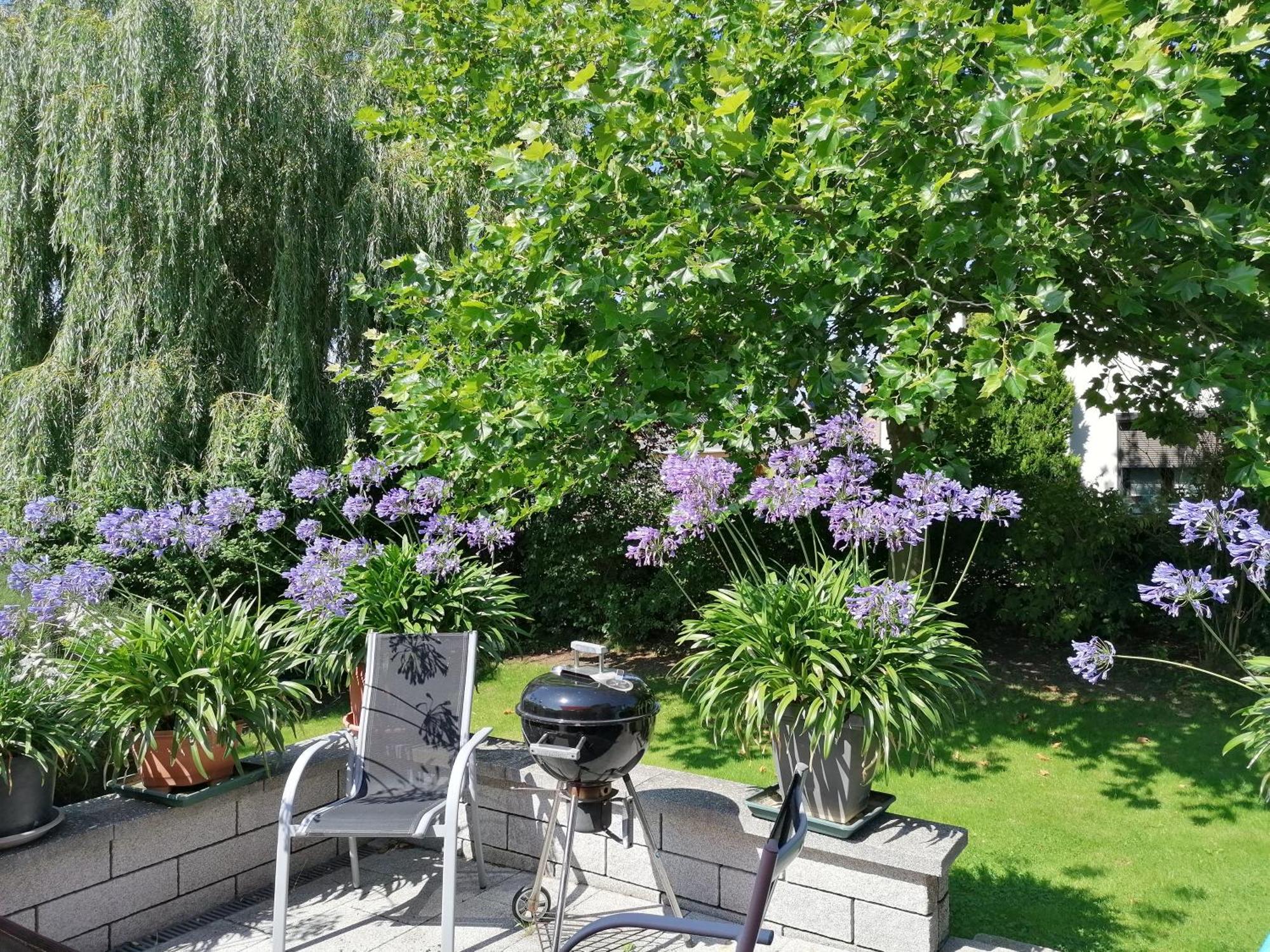 Pension Haus Anneliese Uckeritz Εξωτερικό φωτογραφία