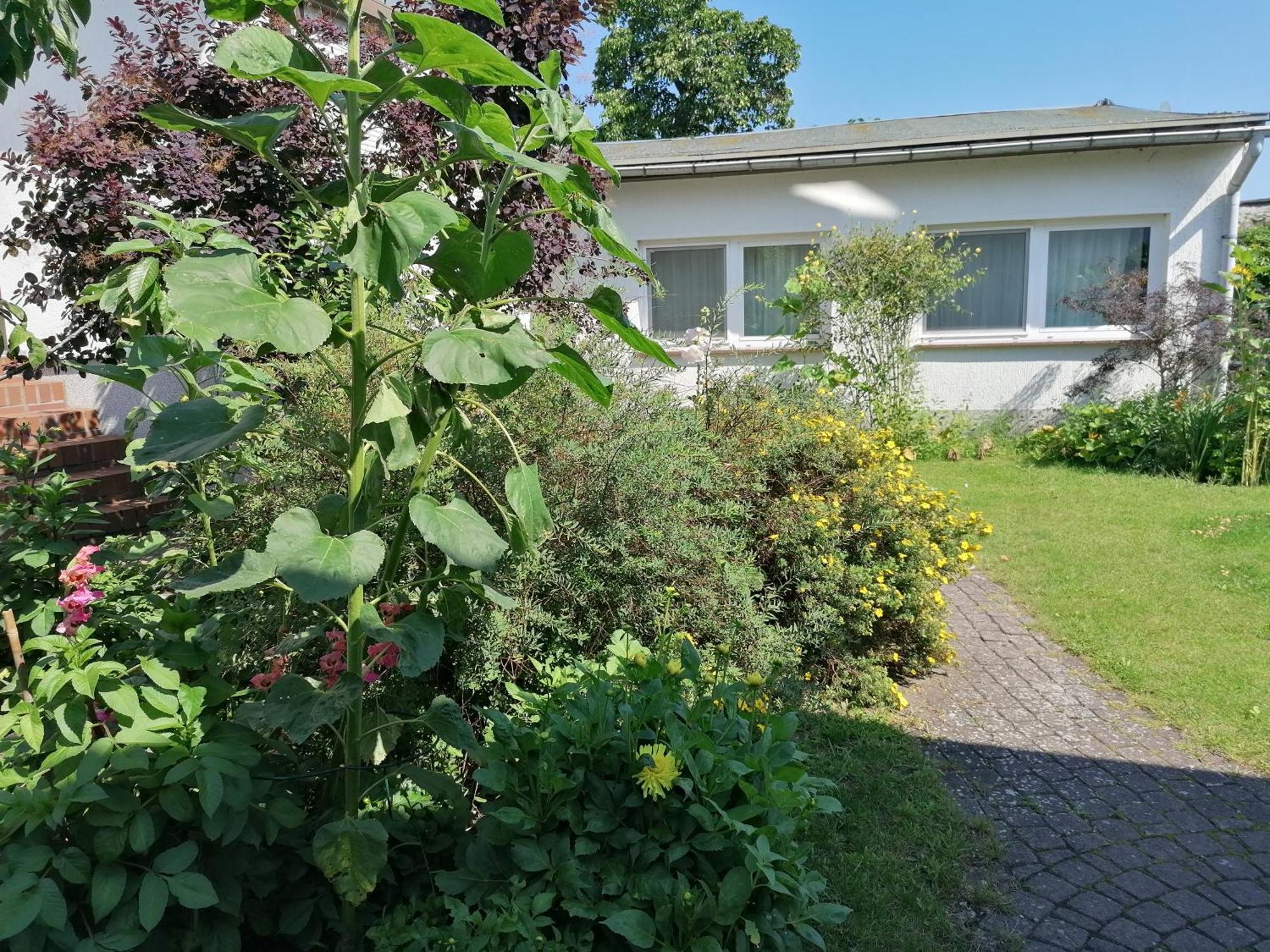 Pension Haus Anneliese Uckeritz Εξωτερικό φωτογραφία