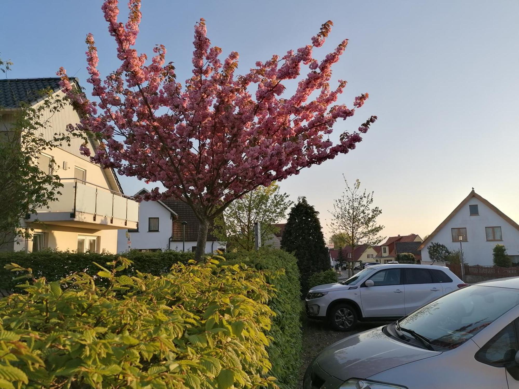 Pension Haus Anneliese Uckeritz Εξωτερικό φωτογραφία