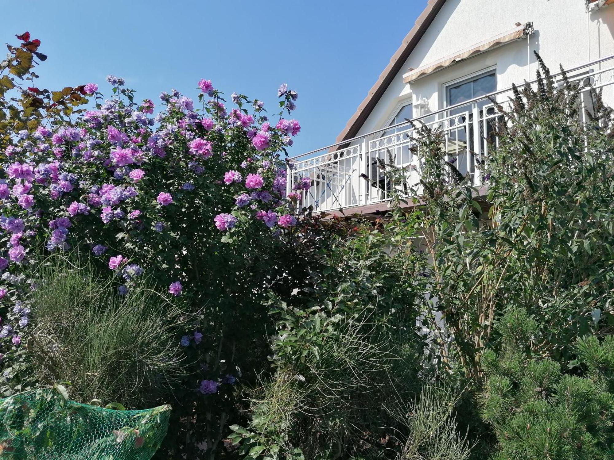 Pension Haus Anneliese Uckeritz Εξωτερικό φωτογραφία