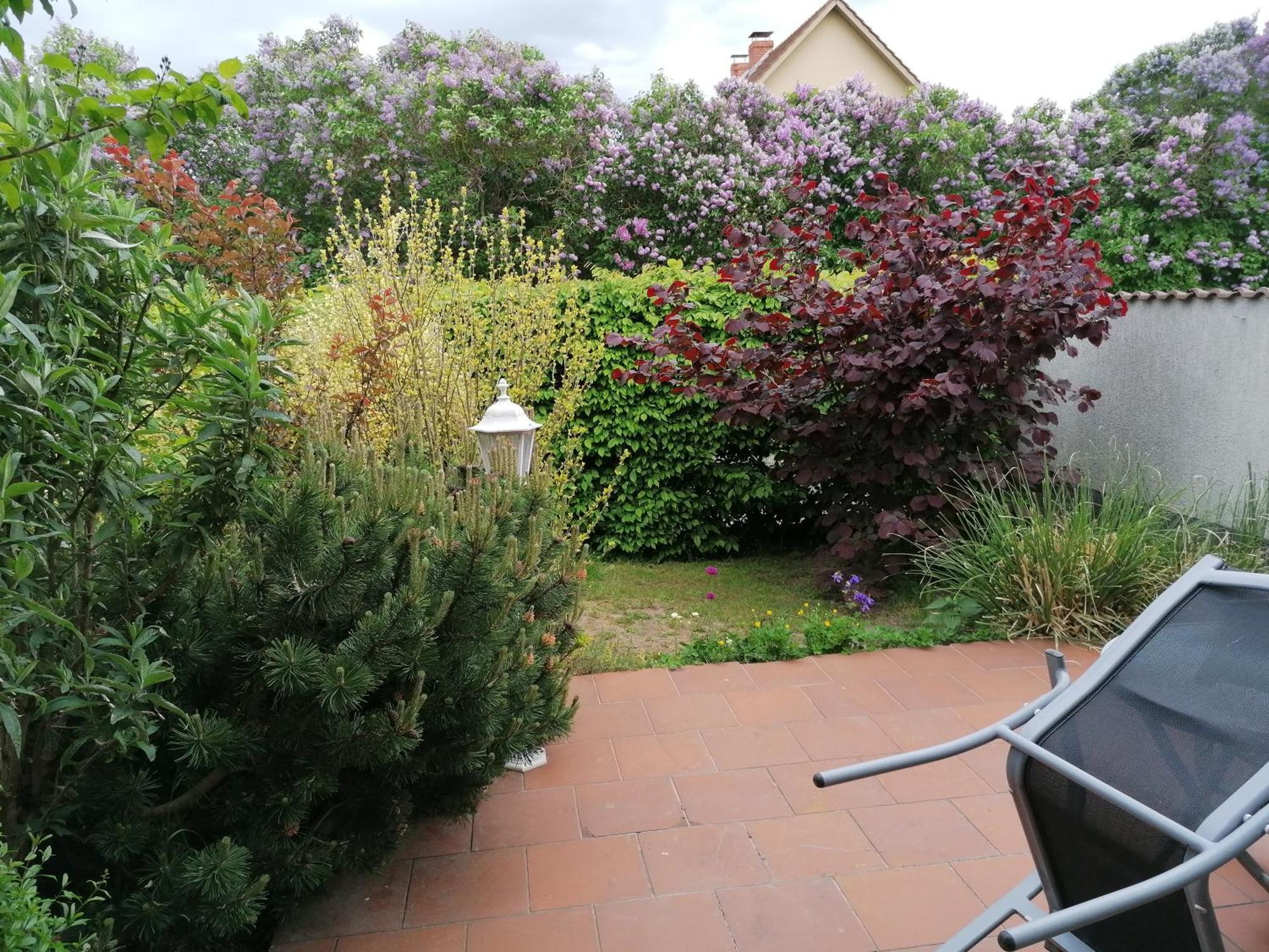 Pension Haus Anneliese Uckeritz Εξωτερικό φωτογραφία